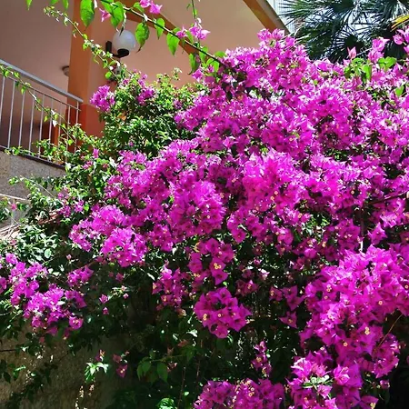 In - Ligurische Riviera 22530
